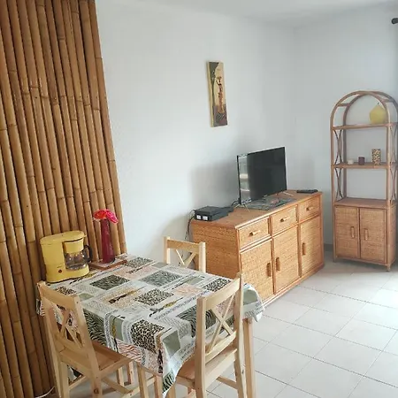 Apartment Sejour A T1 Vue Sur Mer - 50m Centre Et Mer